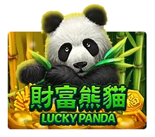 Lucky Panda - MOTO128